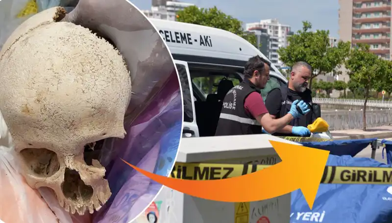 Sitenin Çöpünde Bulunan Kafatasının Gizemi Ortaya Çıktı: Uzman Doktor Gözaltında