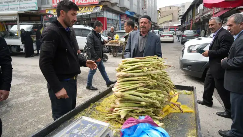 Dağlık Alanlardan Toplanan Şekerin Sağlık Faydaları Neler?