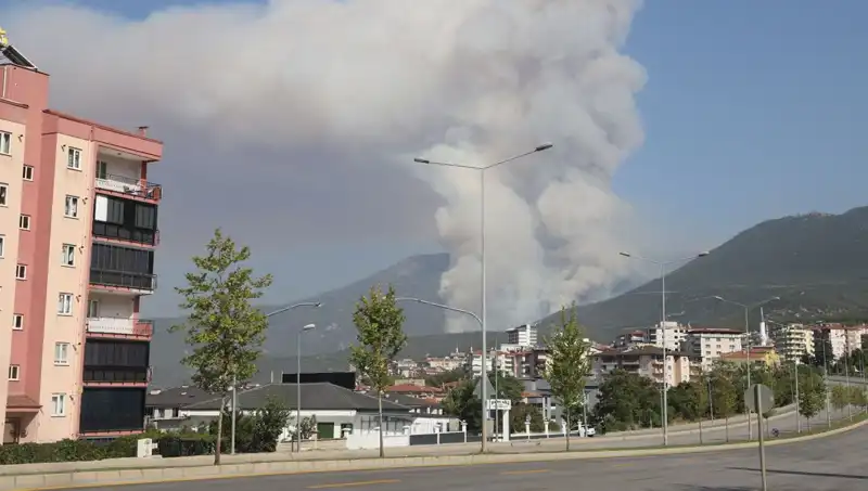 Denizli'de Orman Yangını: Şüpheli Gözaltına Alındı, Olayın Ayrıntıları Ortaya Çıktı!