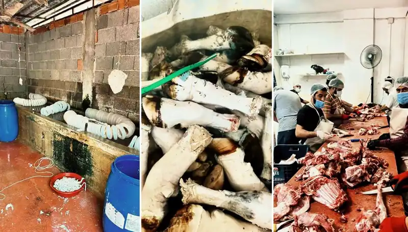 Adana'da Şok Eden Operasyon: Yüzlerce Kilo Sağlıksız Paça Ele Geçirildi!