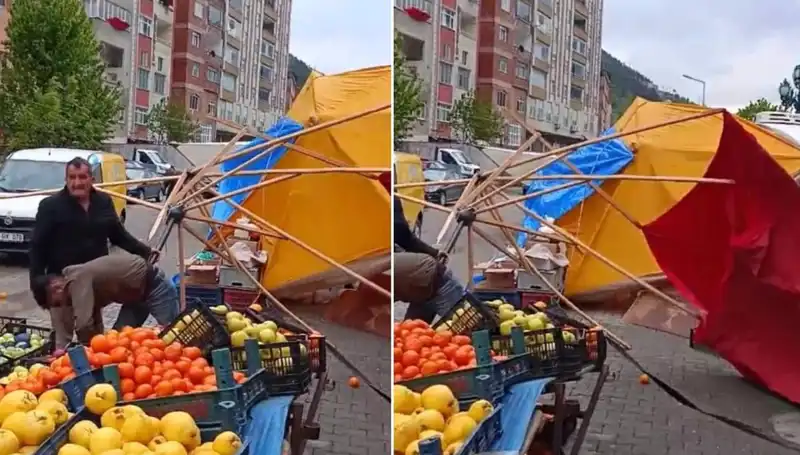 Artvin'de Fırtına Tahribatı: Hayat Durma Noktasına Geldi