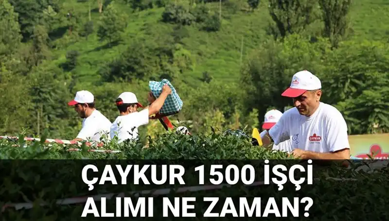 Çaykur İşçi Alımı İçin Başvuru Tarihleri ve Sürecin Tüm Detayları