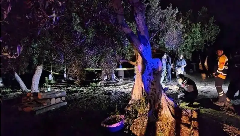 Çiftlikte Baltalı Vahşet: Polisten Şok Tutuklama