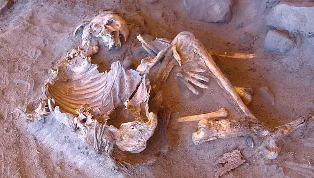 Yeni Mumya Keşfi: İnsanlık Tarihini Yeniden Yazacak Bulgular