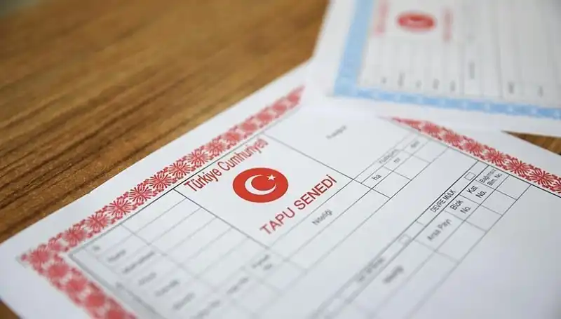 100 Milyonluk Hisseli Tapu Tuzağı: Dolandırıcılık Ağı Ortaya Çıktı