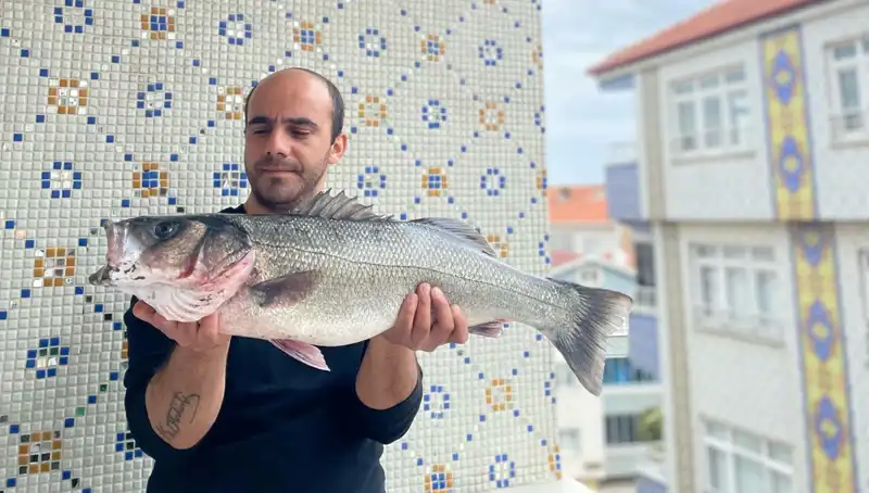 Dev Levrek Hedefte: 7,5 Kilo Ağırlığında Balık Avı Heyecanı