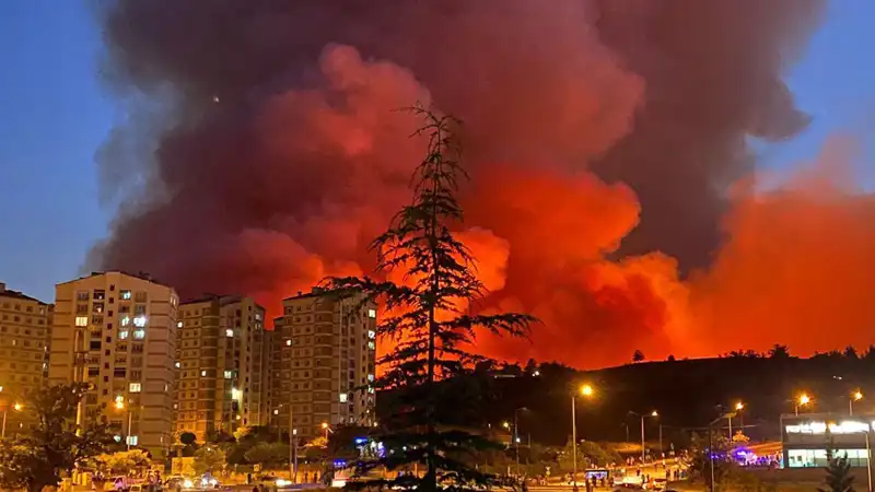 Bursa'da Yangınlar: Şehrin Doğal Güzellikleri Tehdit Altında!