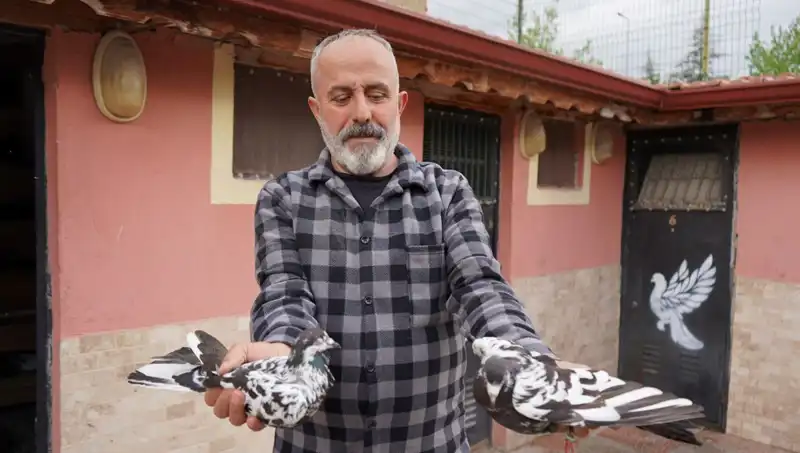 42 Yıllık Hobi Profesyonel Tesise Dönüştü: İl Dışından Yoğun Talep Var
