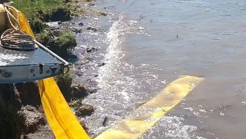 Yerli Göletlere Yavru Balık Bırakıldı, Su Kaynakları Canlanıyor