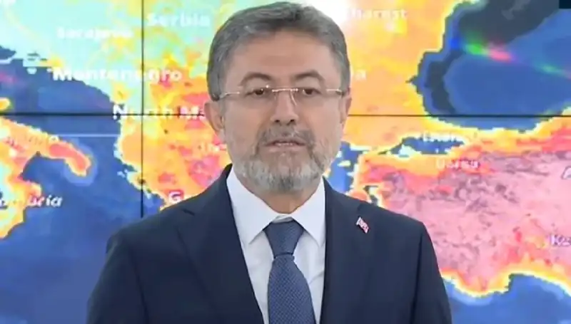 Türkiye'deki Orman Yangınlarında Son Durum: Sadece Harmancık Yangını Devam Ediyor