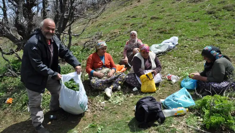 Yüzlerce Ailenin Geçim Kaynağı: Kilosu 250 Lira Olan Müsli için 5 Saat Yürüyüş