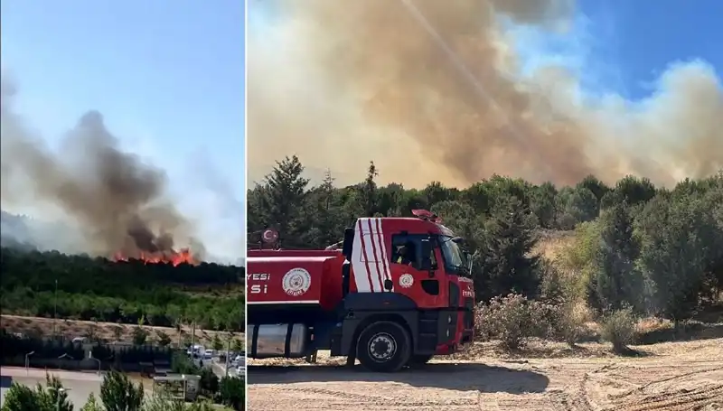 Gebze'deki Orman Yangını, Doğayı ve Hayatı Tehdit Ediyor