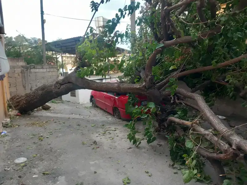 Hatay’da Şiddetli Fırtına Yaşamı Olumsuz Etkiledi: Ağaçlar ve Çatılar Sokağa Düştü