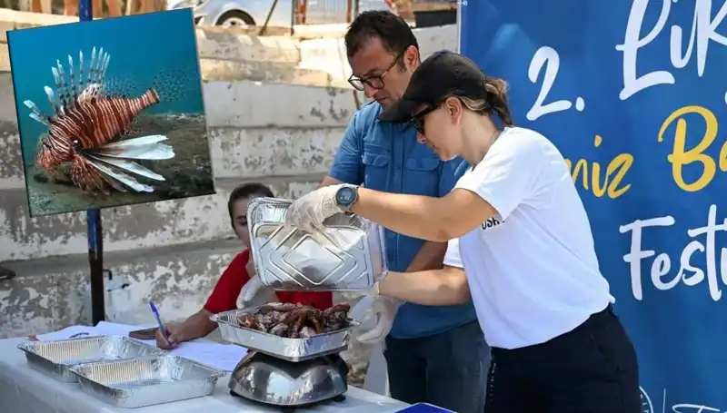 Antalya'da İstilacı Aslan Balığı Avlama Yarışması ile Eğlenceli Bir Rekabet Başlıyor