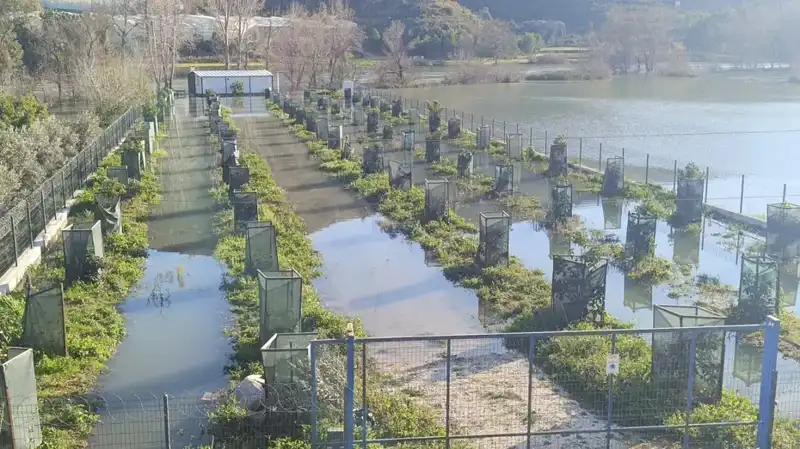 Irmak Taşmasının Ardından Otoyol Şantiyesi Ne Durumda?