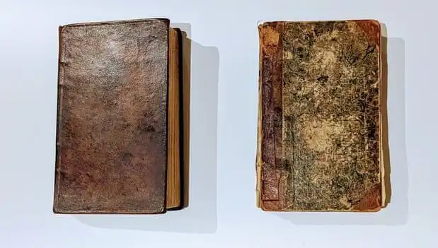 200 Yıllık Sır: Katilin Derisi Kullanılarak Yapılan Kitap Müze Raflarında