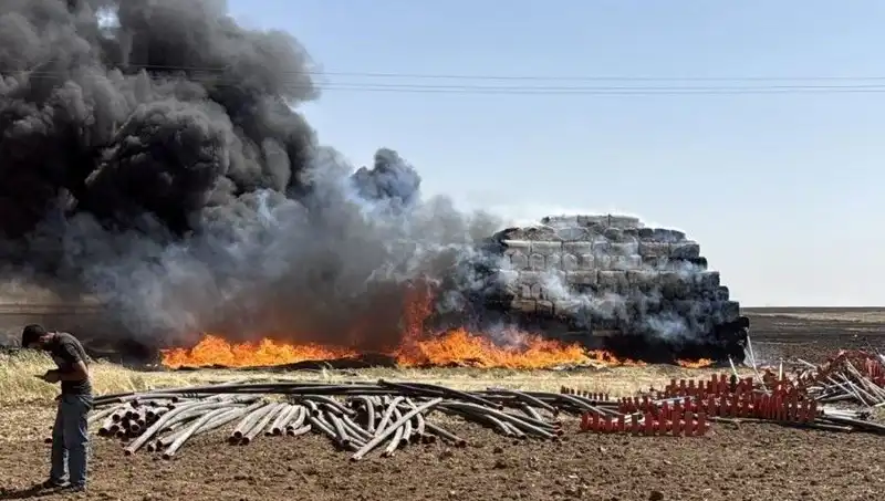 Mardin’de Cılavuz Köyü’ndeki Anız Yangını Korkuttu: Son Durum Ne?