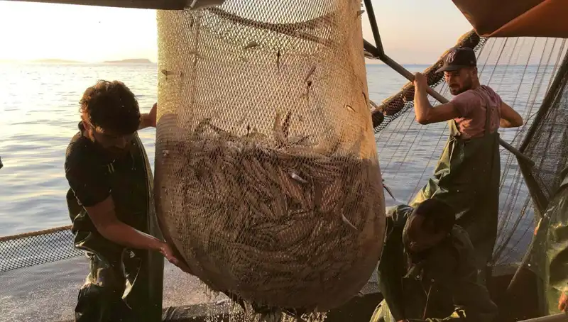 Balıkçılar Neden Paydos Ediyor? İhlaller Ceza Yağmuruna Tutuldu!