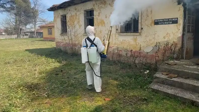 Çiftçilerin Kahverengi Kokarca Seferberliği: Tarımda Yeni Tehdit