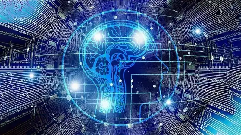 Kripto Dünyasında Şok: Bot Sürüleri Dolandırıcılığa Hizmet Ediyor!