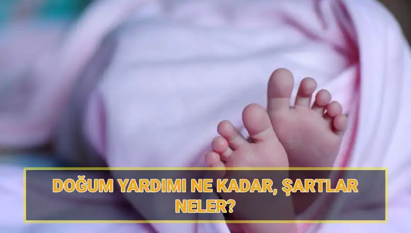 2025 Doğum Yardımı Başvuruları Başladı: Çocuk Parası Ne Kadar Olacak?