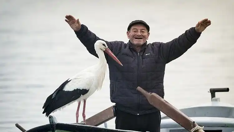 Yaren Leylek'in Gelip Gelmediğini Öğrenmek Artık Çok Kolay!