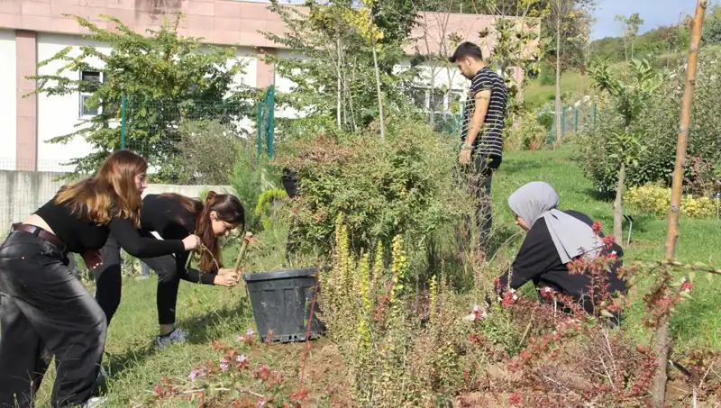 Düzce’nin Sıradışı Başarısı: Hayalden Gerçekliğe Ulaşan Bir Hikaye